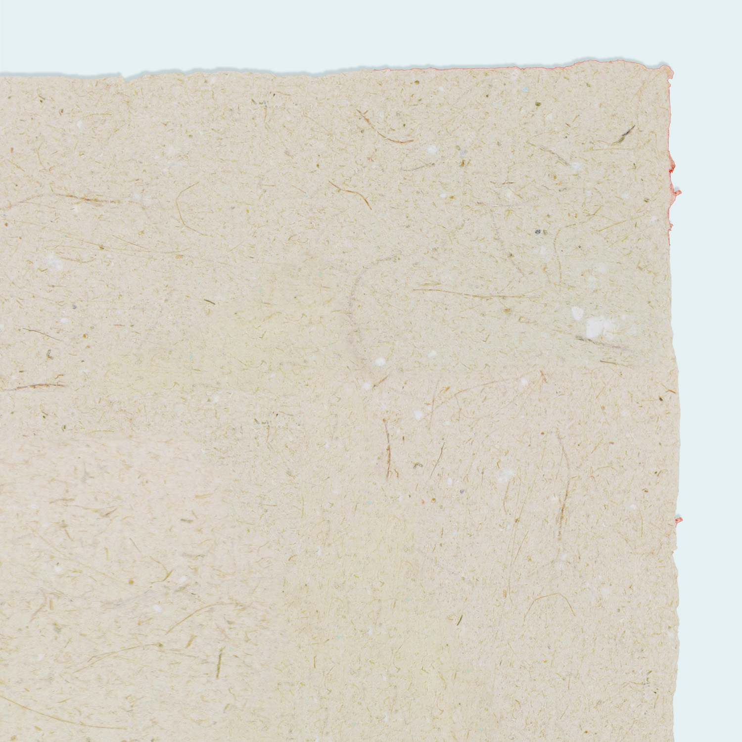 white paper recycled with Cana reed giant